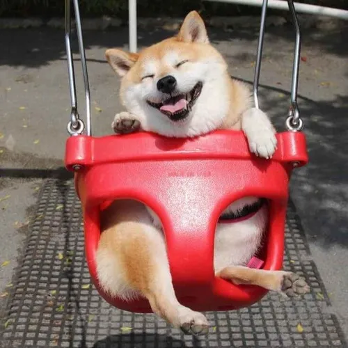 Mặt hoảng hốt khi vừa nghe tiếng động