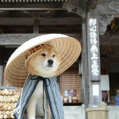 Khuôn mặt méo mó vì hết tiền bất lực