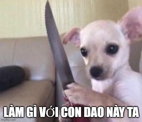 Ảnh meme chó cầm dao như đang chuẩn bị “xử lý” đứa phản bội