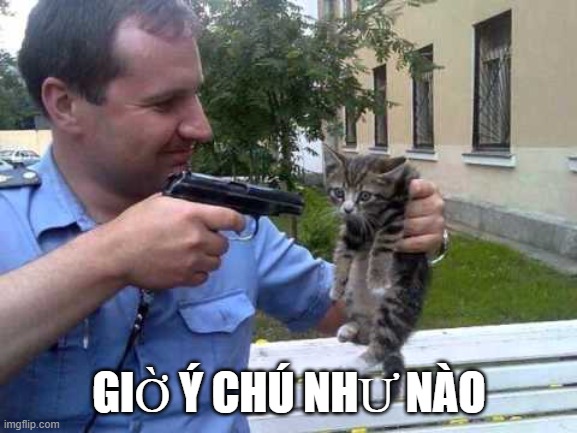 Khi công an xuất hiện trong ảnh meme nhưng bị “chế” cực bựa