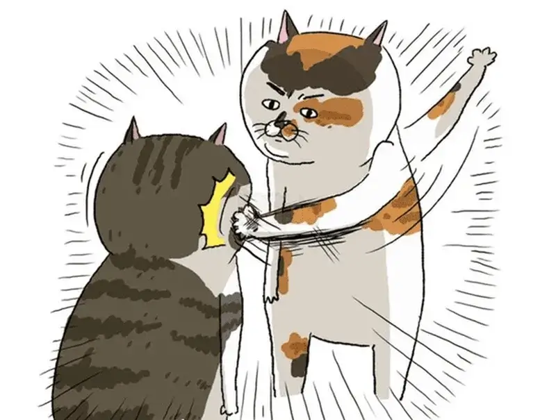 Meme đánh vai "cho có lệ", troll bạn kiểu dằn mặt nhẹ nhàng.