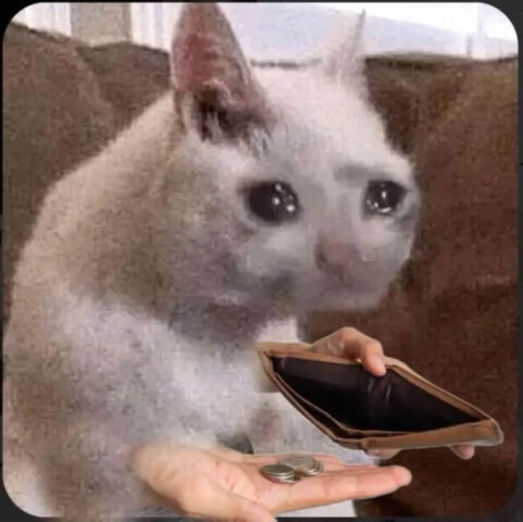 Meme mèo Hết tiền rồi nhưng vẫn phải cười chứ