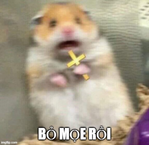 Chú chuột nhỏ cầm thánh giá gương mặt méo như mạng lag