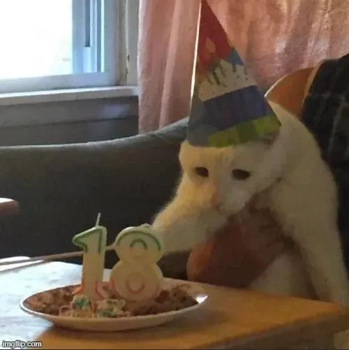 Ảnh vui bé mèo diễn đạt dáng co ro độc đáo riêng