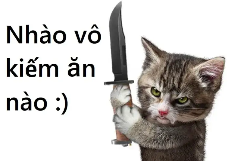 Nhào vô kiếm ăn nào?