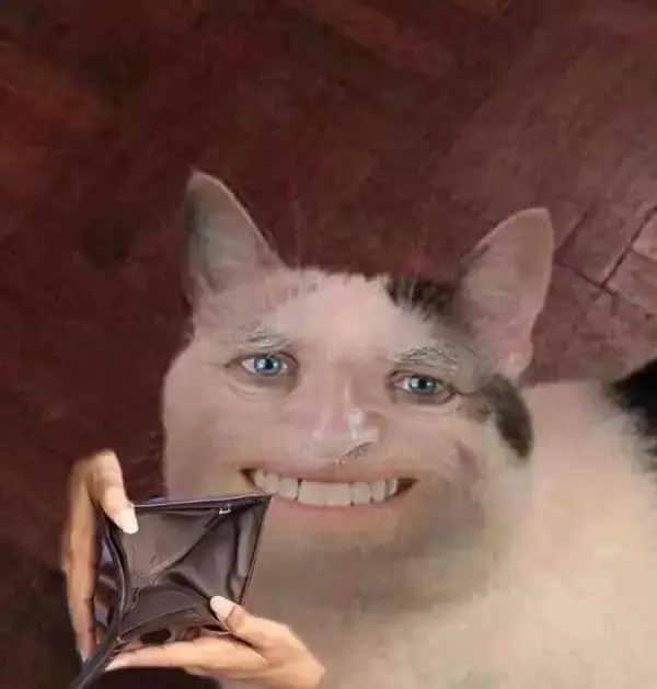 Mèo meme cười điệu nhe răng, khoe ví sạch tiền