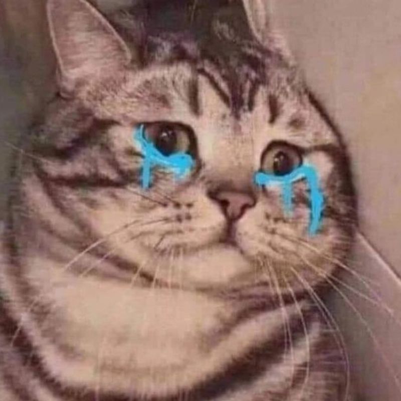 Ảnh meme mèo sợ hãi lặng thầm, như đang bị bỏ rơi, tai và mắt đầy ám ảnh.