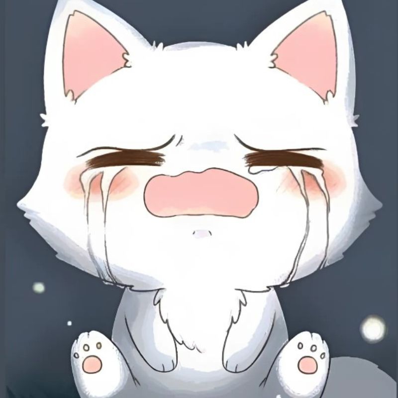 Ảnh meme mèo u sầu quá mức, nhìn vào camera như sắp vỡ òa.