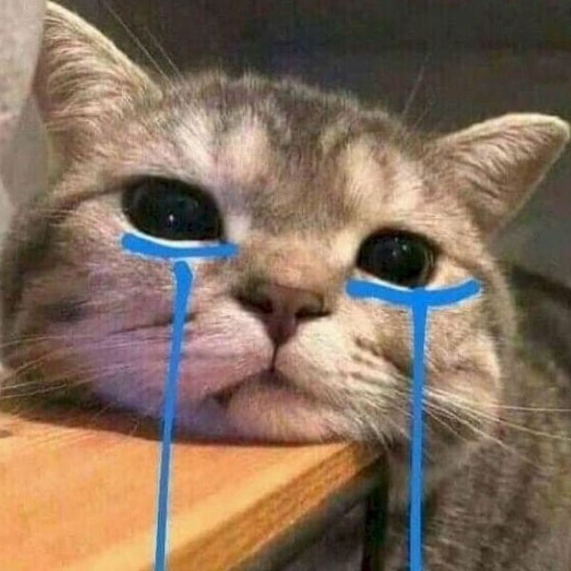 Hình meme mèo đau lòng sâu sắc, mắt ngấn lệ, môi mím chặt, tai rũ rượi.