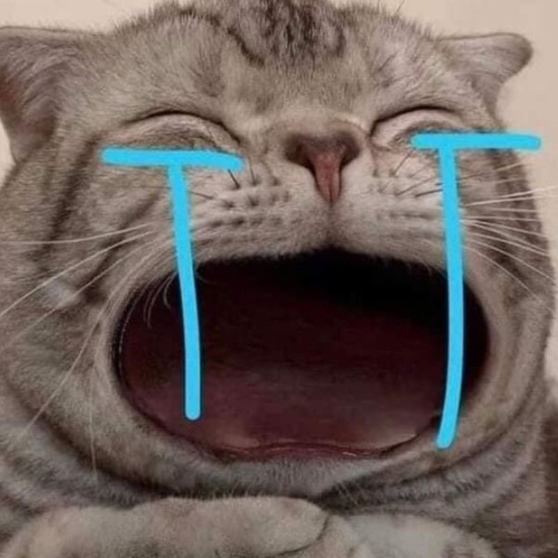 Hình meme mèo buồn trầm lặng, ngồi dưới ánh đèn vàng, mặt cụp và sâu sắc.