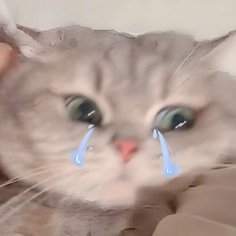 Ảnh meme mèo khóc nhẹ nhàng, mắt sáng lên vì nước, biểu cảm chịu đựng.