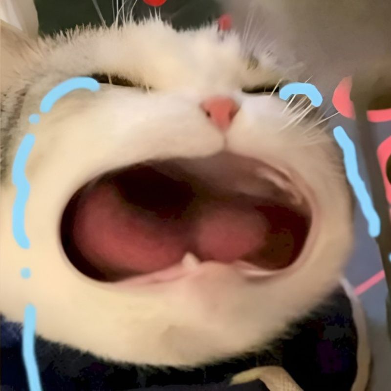 Ảnh meme mèo đau đớn, miệng cong, tai đổ xuống, ánh mắt quặn thắt.