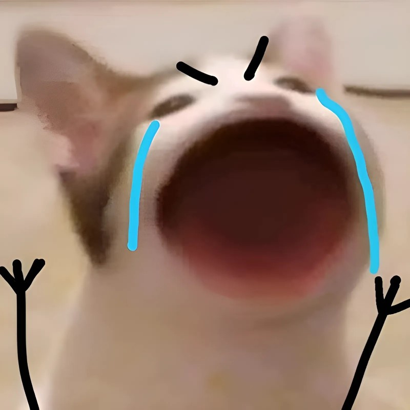 Hình meme mèo mềm yếu, nép vào mền, đôi mắt đỏ hoe, mặt tê liệt cảm xúc.