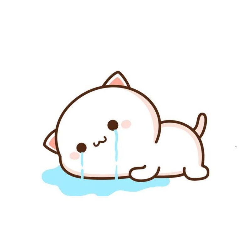 Ảnh meme mèo day dứt, biểu cảm buồn thâm trầm, lông rối và ánh mắt ướt.