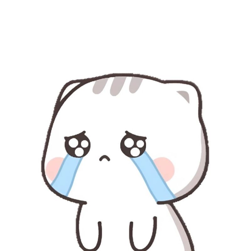 Hình meme mèo mệt mỏi, nằm dài, đầu đặt xuống sàn, mắt vẫn mở trống rỗng.