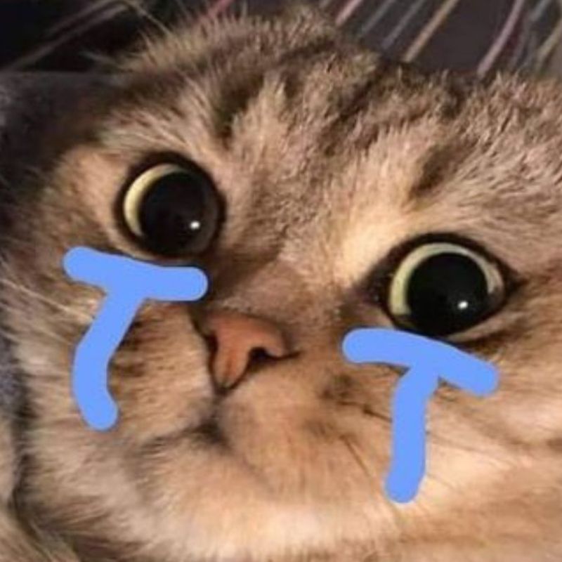 Ảnh meme mèo thất thần, không biểu cảm rõ, nhưng ánh mắt chất chứa cảm xúc.