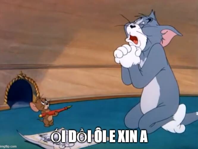 Meme mèo Tom quỳ lạy hài hước: đỉnh cao năn nỉ có văn hóa