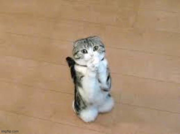 Khi drama quá mức chịu đựng: quỳ lạy