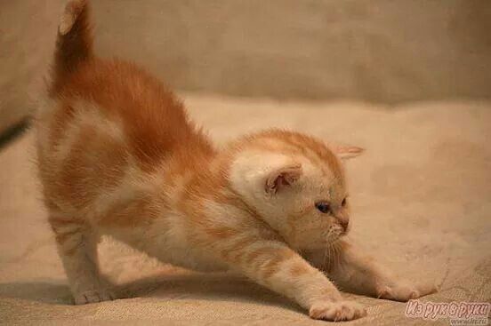 Xin vũ trụ cho con một lối thoát