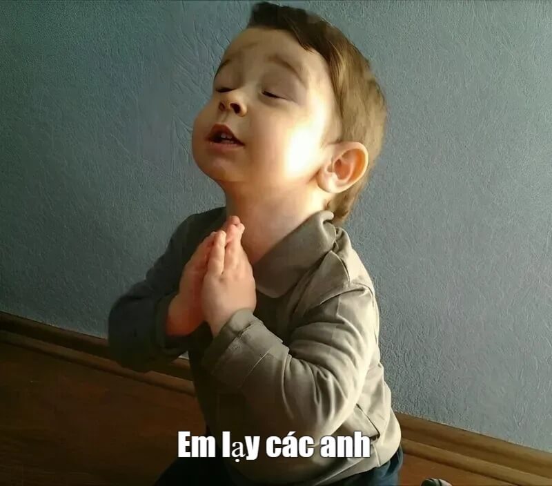 Meme quỳ lạy khiến bạn vừa khóc vừa cười