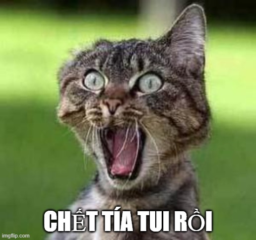 Tưởng khỉ ngầu ai ngờ xỉu ngang: Chết tía tui rồi