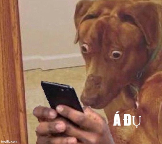 Chó mà run như bún, ai ngờ