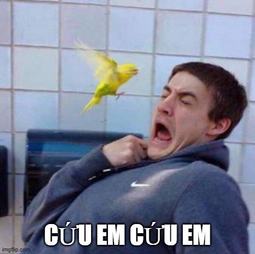 Nội tạng rung lên vì sợ chú chim: Cứu em cứu em