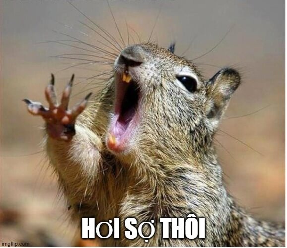 Sợ tới mức tai cụp mất luôn sóng