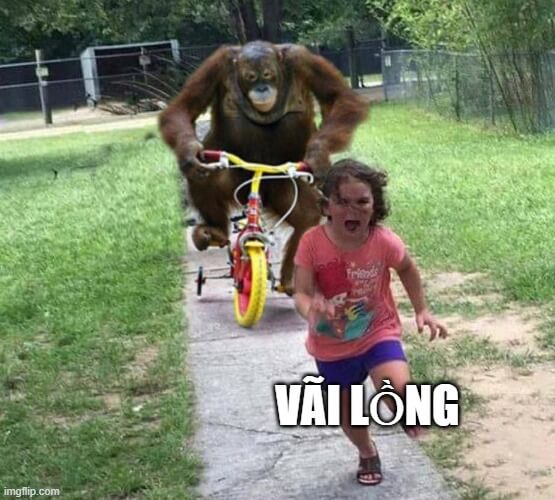 Bắt gặp ánh mắt của số phận