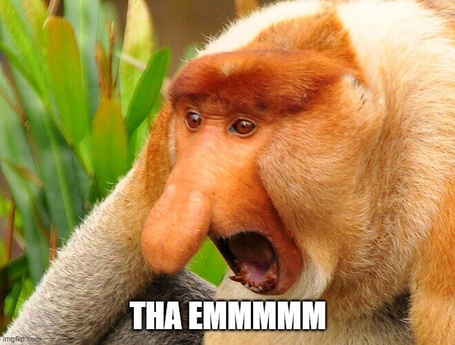 Chí khỉ cứng đầu nhưng sợ tiếng “bụp”