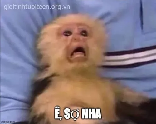Meme hài biểu cảm sợ hãi xanh mặt trước tình huống