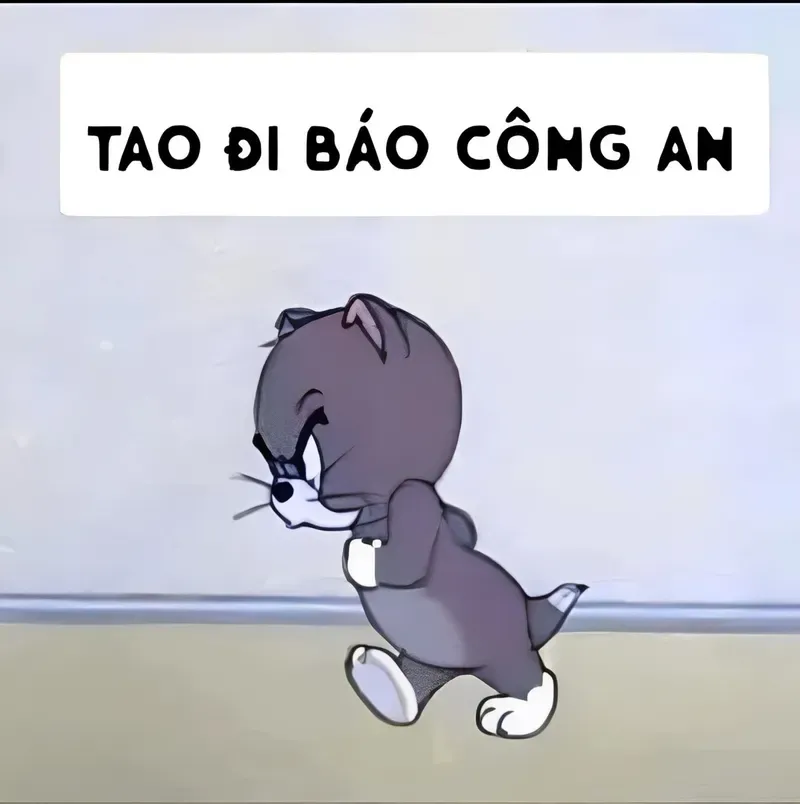 Ảnh boss mèo ngồi im nhưng caption lại là “tao báo công an” cực mặn.