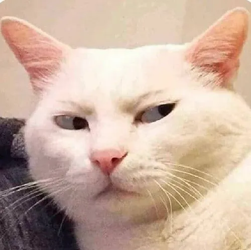 Hình meme hài mèo mướp cổ điển phác họa lườm sâu với răng nhỏ hé ra