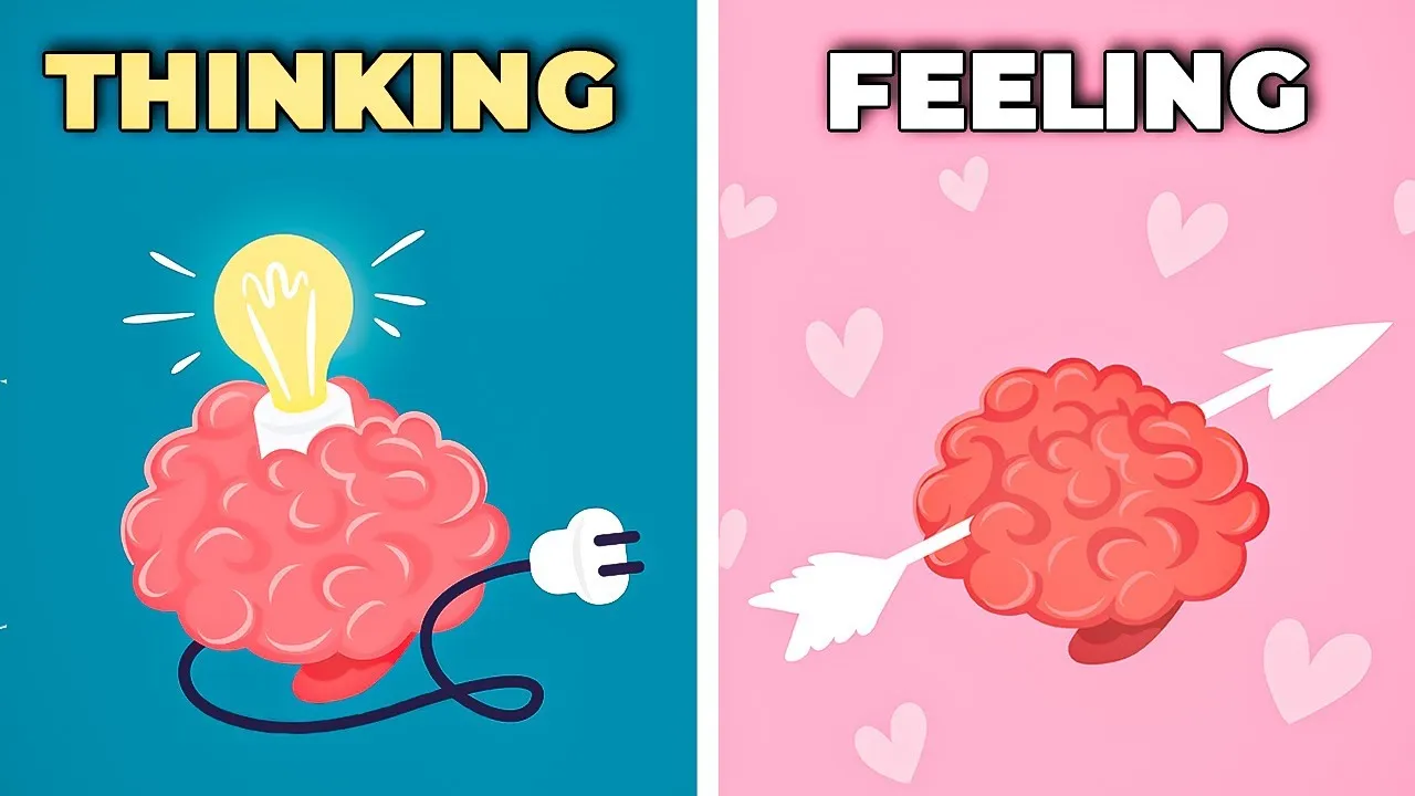 Lý trí (Thinking) so với Cảm xúc (Feeling)