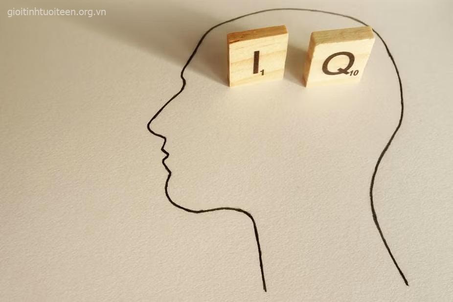 Chỉ số IQ là gì? Định nghĩa, phân loại mức độ thông minh và vai trò trong tâm lý tuổi teen