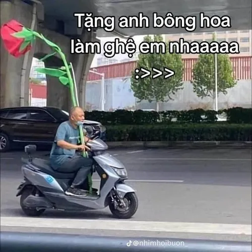 Meme bó hoa hồng đưa về phía bạn trong sắc đỏ nổi.