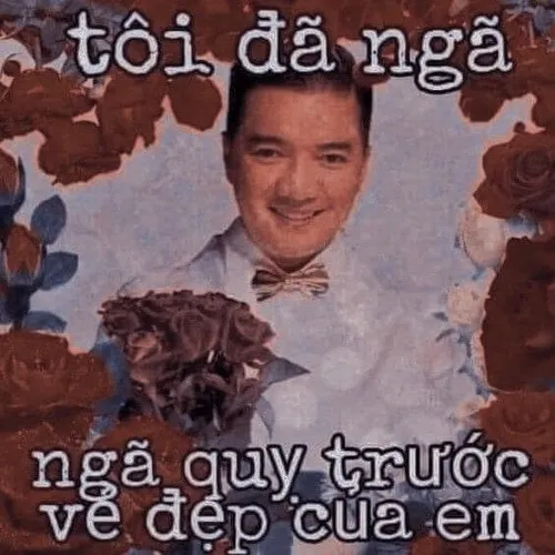 Meme bó hoa đỏ cổ điển được chìa ra đầy duyên.