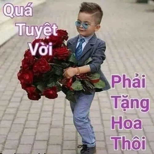 Ảnh troll đoá xinh hoạ mi gợi sự gần gũi.