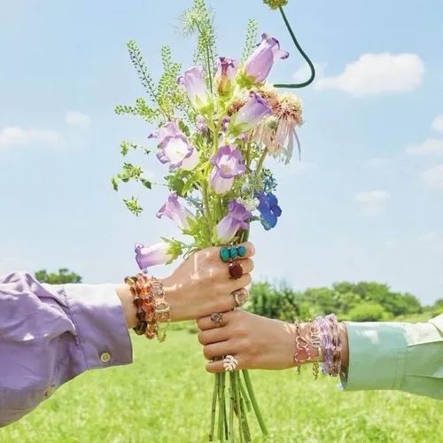 Meme bó hoa cúc vàng làm sáng khung cảnh.