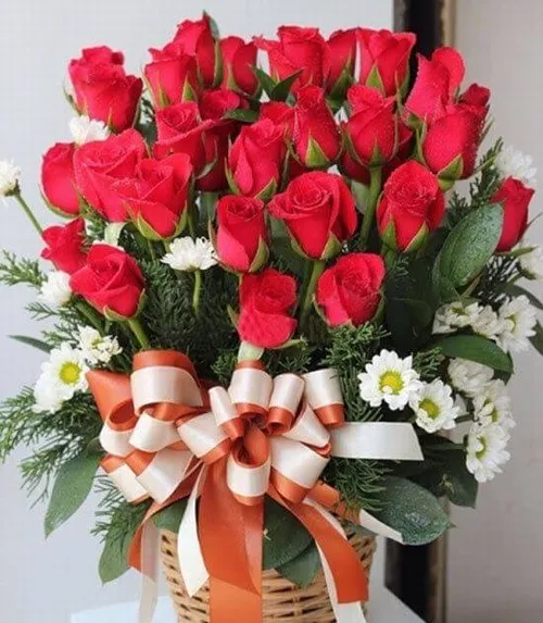 Ảnh vui bó hoa mai rực giúp tăng thiện cảm tức thì