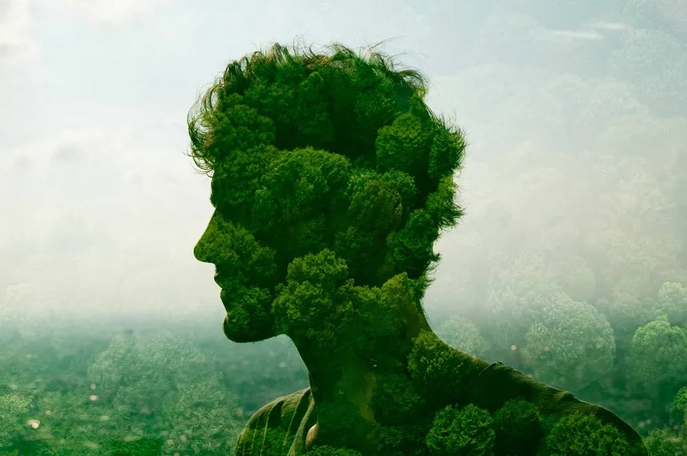 Những hiểu lầm phổ biến về trí tuệ thiên nhiên