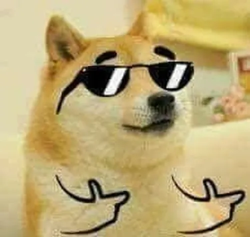 Meme hài chú cún bất lực thể hiện ánh mắt cún mềm mại tự nhiên