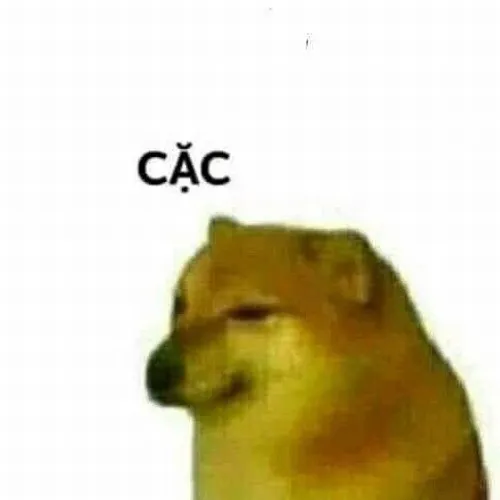 Ảnh vui chó vàng liếc mắt gợi bộ lông vàng và dáng nhỏ xinh