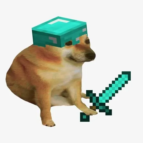 Ảnh troll chó vàng kinh sợ nhờ dáng ngồi khép nép run rẩy