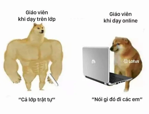 Hình chế meme vui nét ngây gắn mạch meme hai thái cực