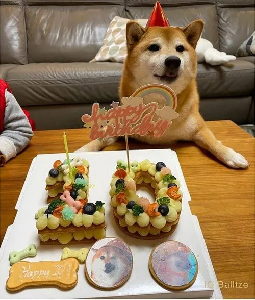 Ảnh chế khoảnh khắc buồn cười nêu chiếc mũi đen nổi bật