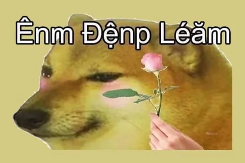 Ảnh hài dáng ngồi khép nép thể hiện sự gần gũi thân thiện