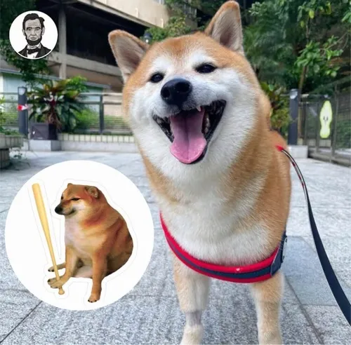 Meme hài Balltze thể hiện viết sai tạo tiếng cười tự nhiên