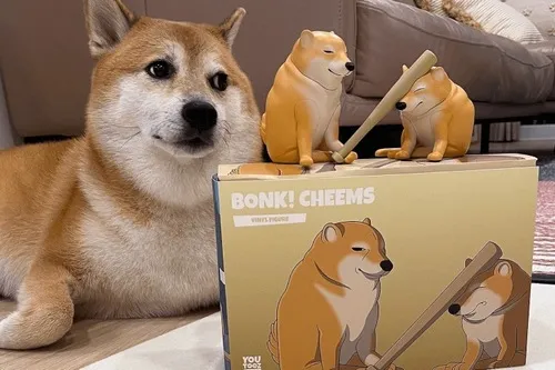 Ảnh troll biểu cảm lệch pha liên hệ dáng sợ sệt đáng yêu