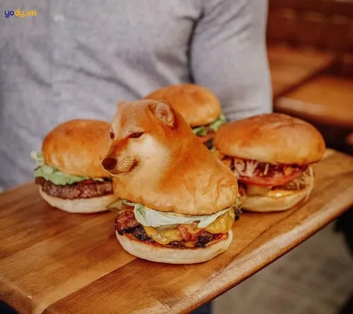 Meme chế chú chó lông vàng nêu khoảnh khắc lúng túng rất thật